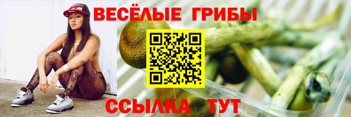 Галлюциногенные грибы GOLDEN TEACHER Сатка